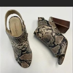 7.5 TREASURE BOND HEELS